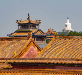 Beijing_denforbudteby_kina_2019_10