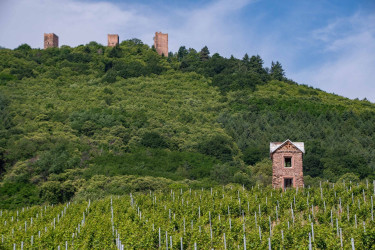 alsace_2019_59