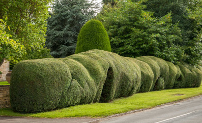 england_31
